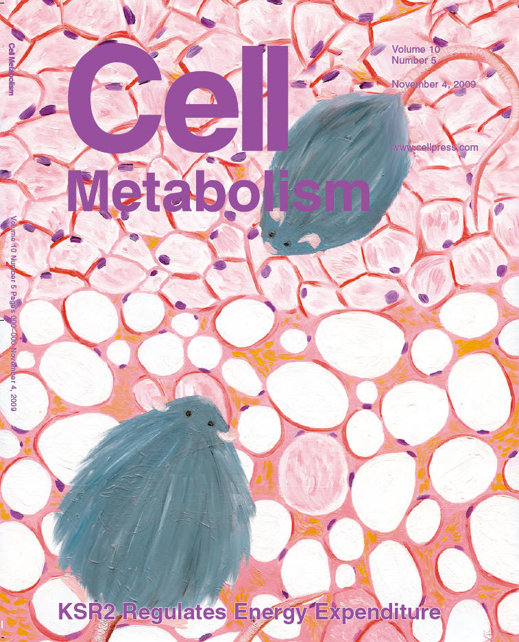 Cover art for Cell Metabolism Volume 10, Number 5, November 2009 by Nicole Nelson