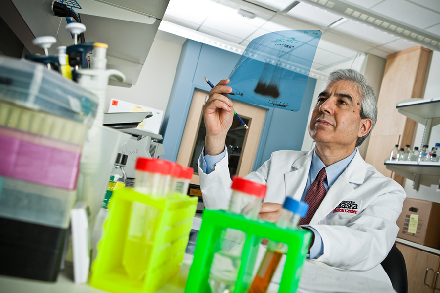 Dr. Hamid Band in his lab