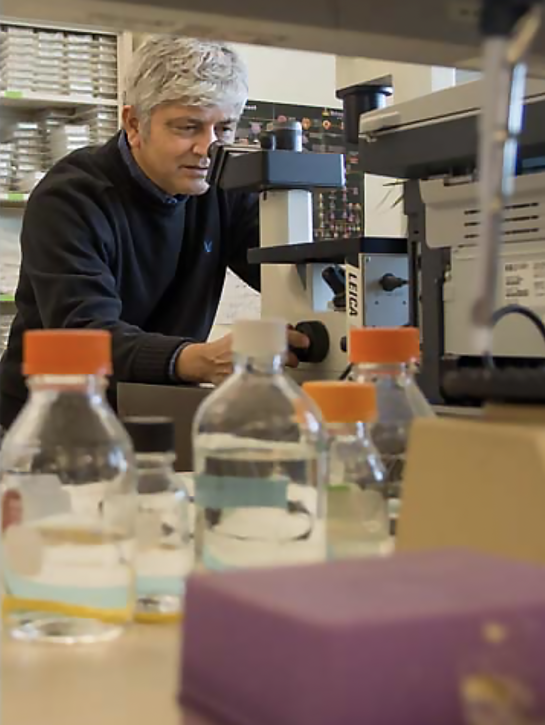 Iqbal Ahmad, PhD