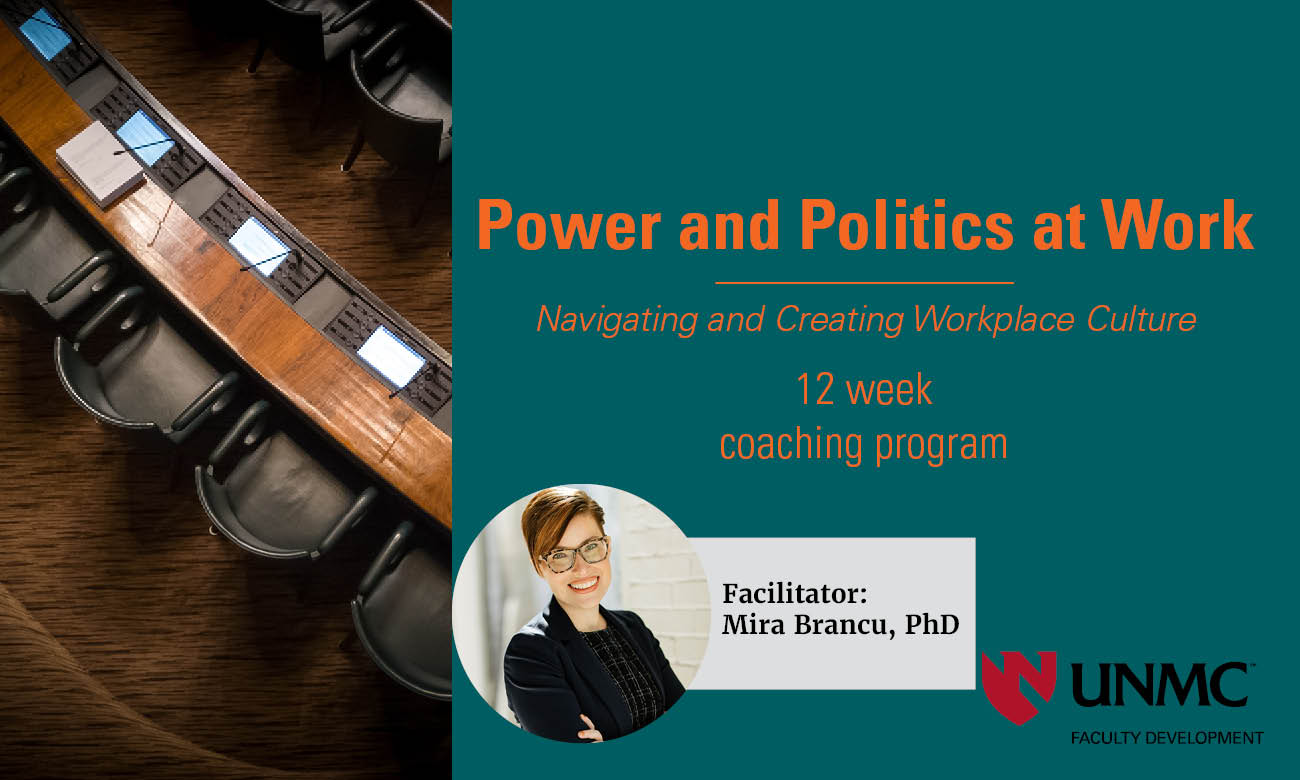 Power and Politics Series Graphic