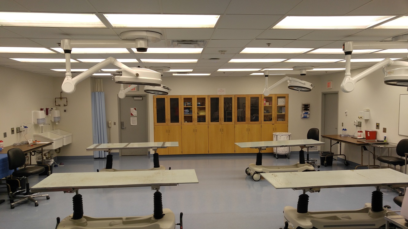 advanced anatomy lab
