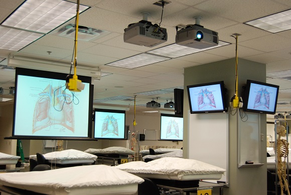 Gross Anatomy/Neuroanatomy Laboratory