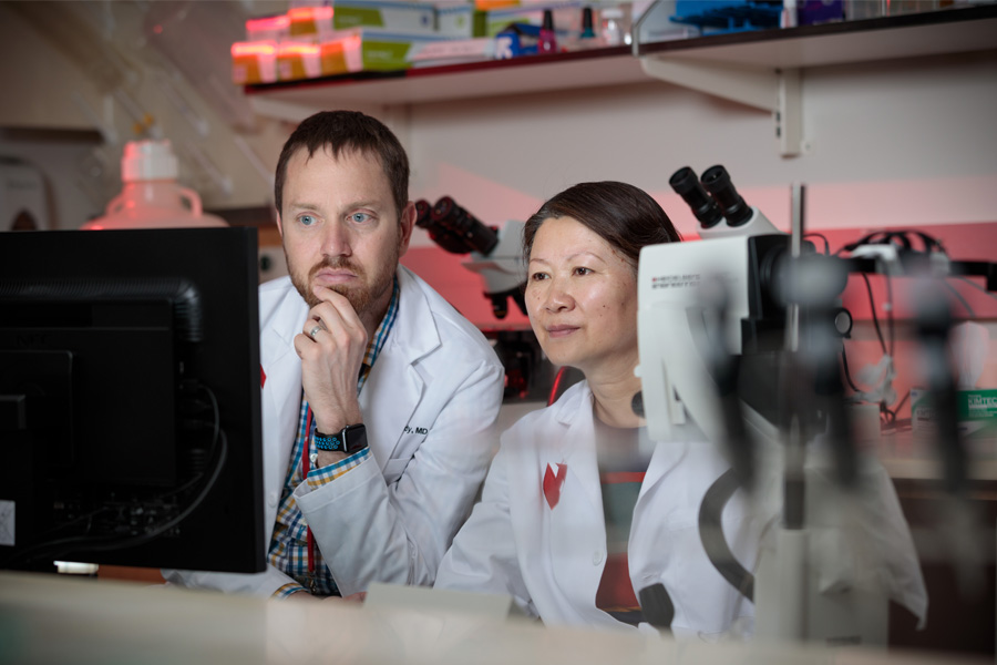 Two faculty look at a computer screen