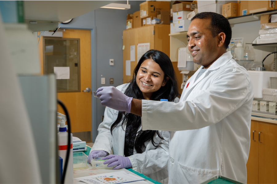 Two researchers wearing white lab coats look at a research result