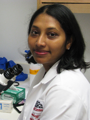 Sowmya Yelamanchili, PhD