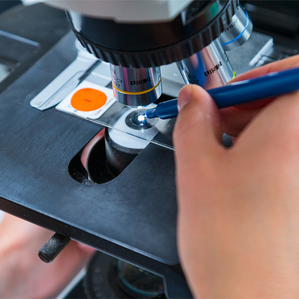 A researcher works with lab equipment