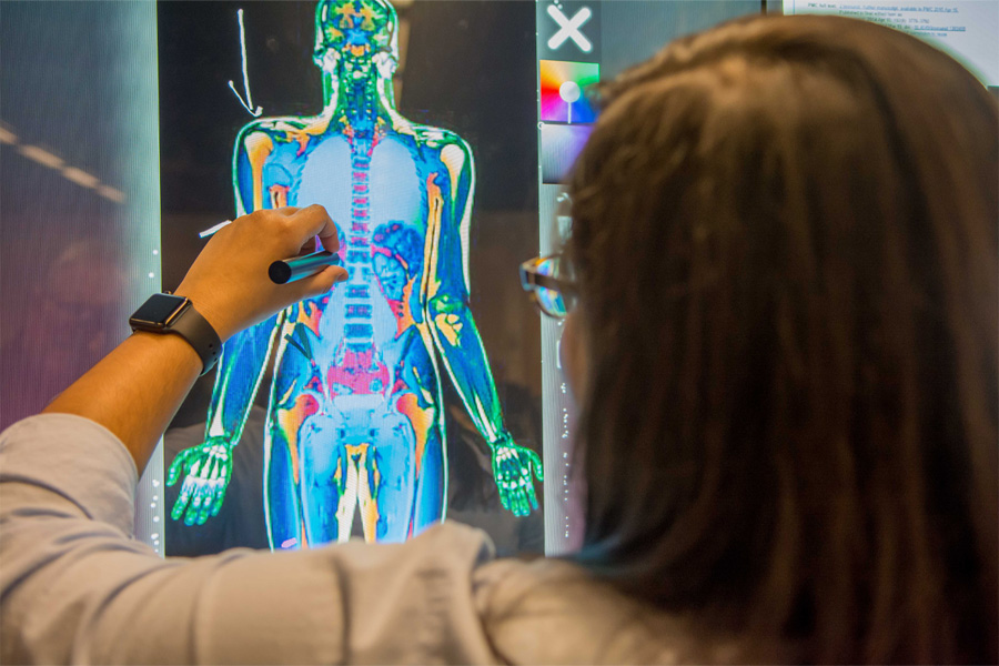 A woman interacts with a digital display of the human body