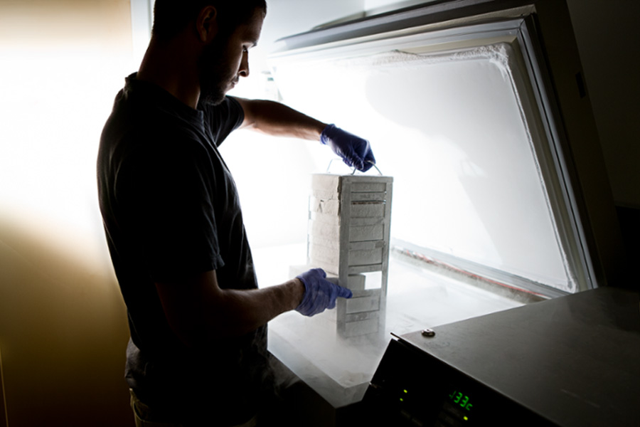 A student uses research equipment.