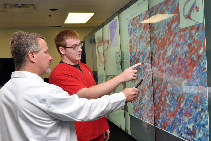 A professor and student discuss an image on a digital screen