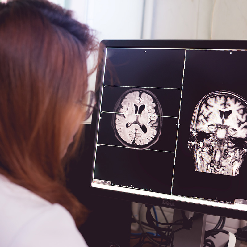 Student sits at computer and looks at brain scans