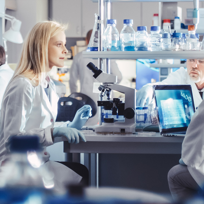 Student and faculty researchers sit in lab talking.