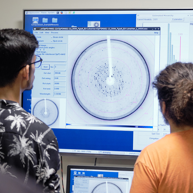 Students stand in front of a large screen looking at medical images