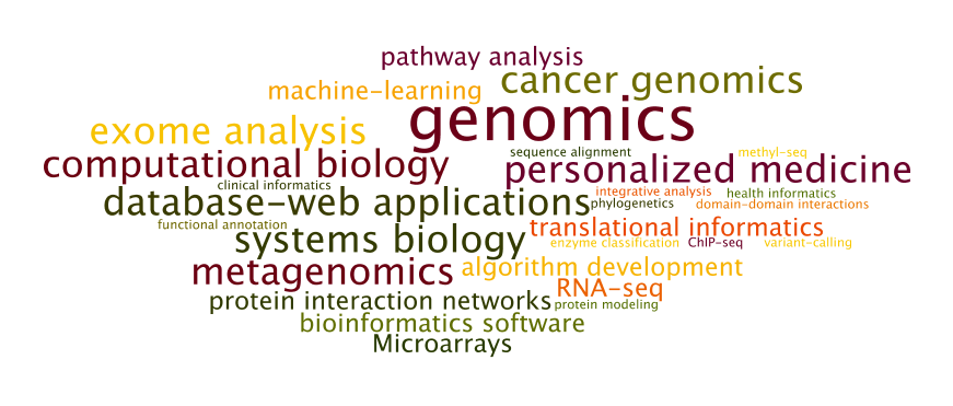 Word Cloud Depiction of Our Research and Support Activities