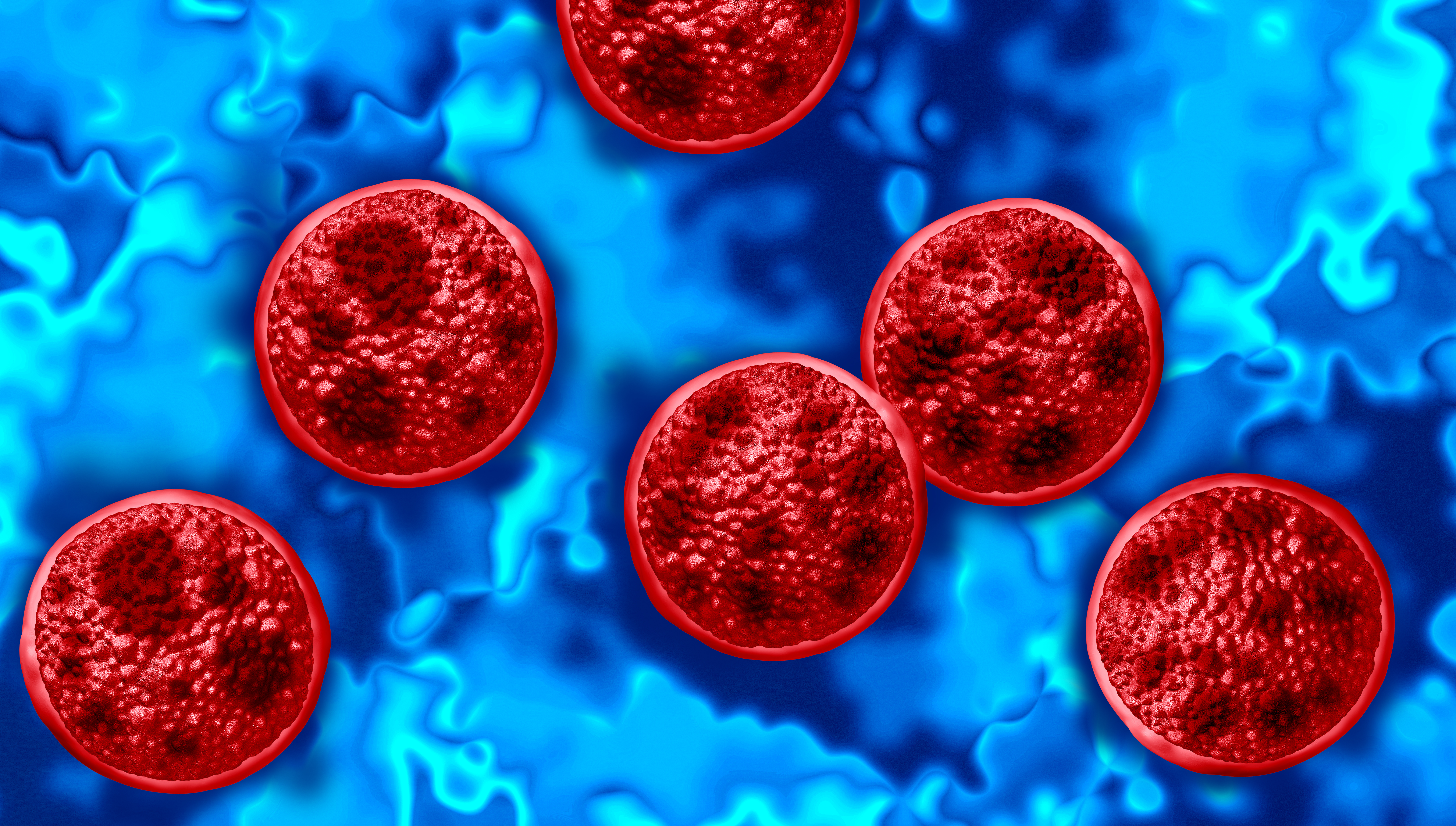 Illustration of several red, textured microscopic cells floating against a blue background.