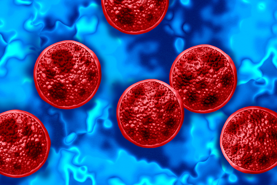 AI generated image of cyclospora bacteria in red on a blue background. 