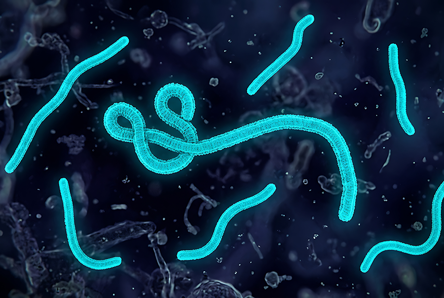 An AI generated image of ebola virus in light blue with a dark background. 