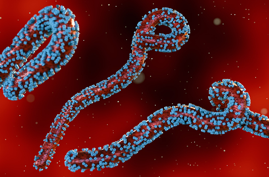 AI Illustration of long, threadlike viruses with blue surface proteins against a red background.