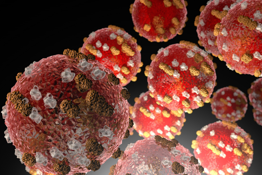 Measles Virus