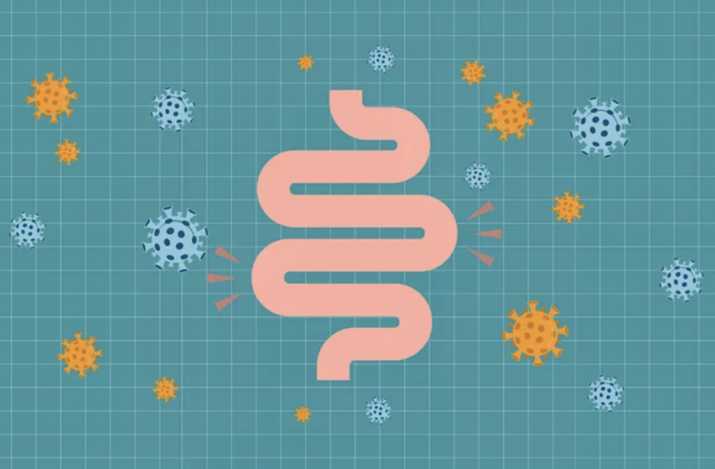 How to Protect Your Gut After COVID, According to a Gastroenterologist