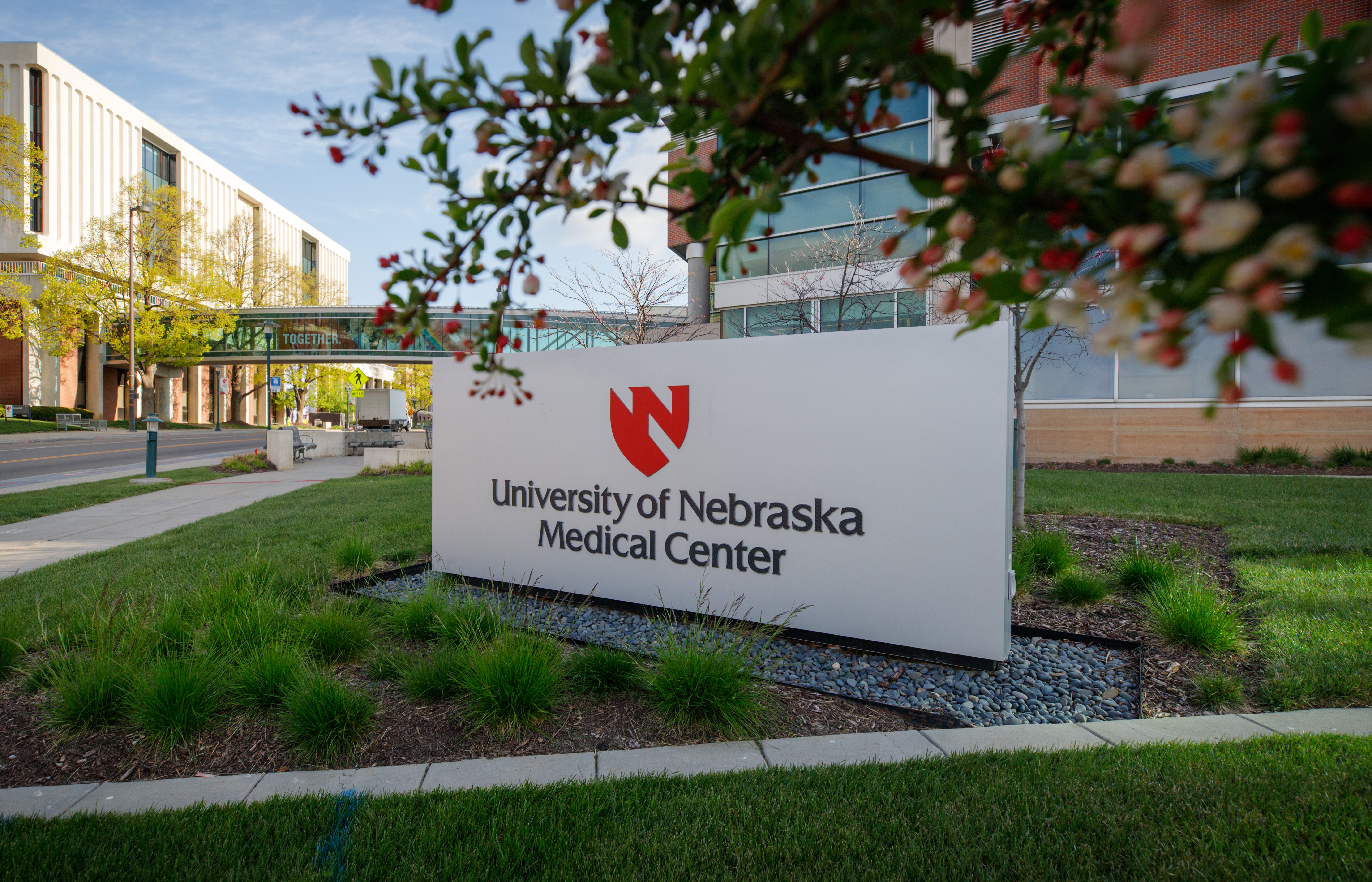 University of Nebraska Medical Center sign. Campus in background with green foliage.