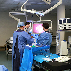 surgeons practicing ent surgery techniques