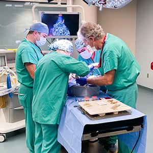 surgeons practicing cardiac surgery skills