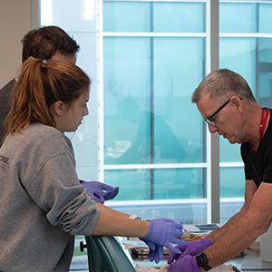 Nurses studying heart anatomy