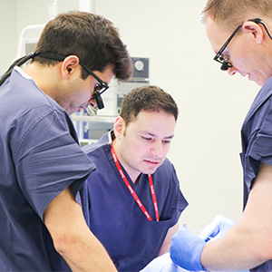 Plastic Surgeons rhinoplasty training