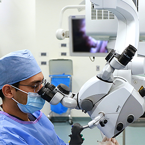 learner using microscope in a dissection lab