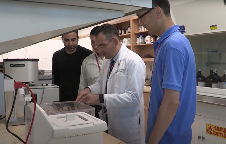 Dr. Chatzizisis in the Lab
