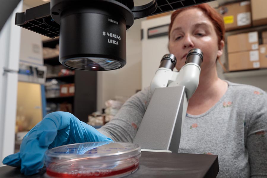 Kathleen Tinley, research project coordinator, works in a lab.