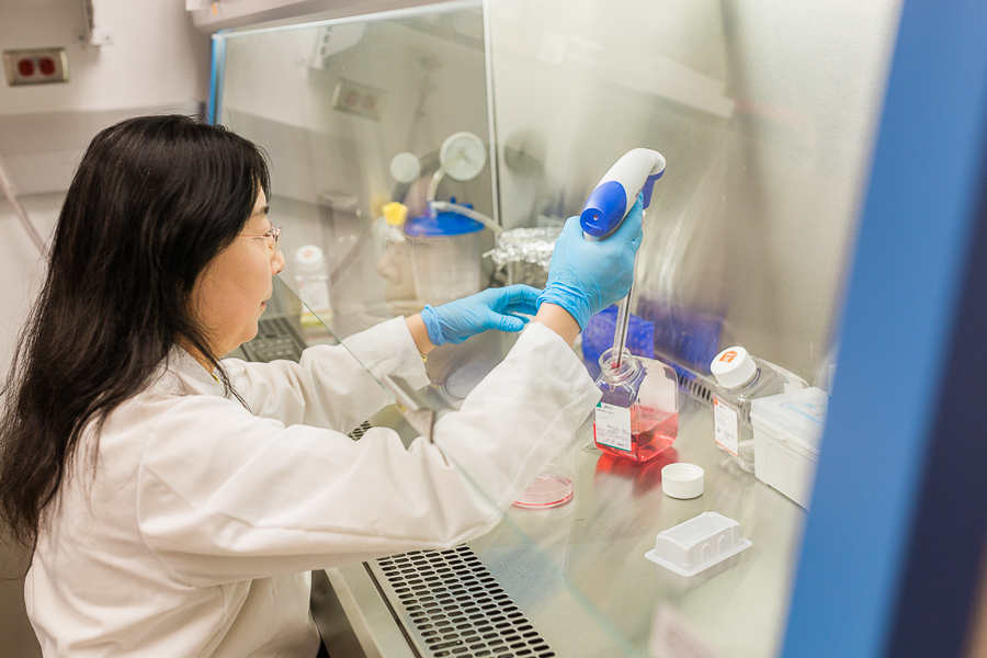 Researchers from the UNMC division of nephrology at work in their lab.