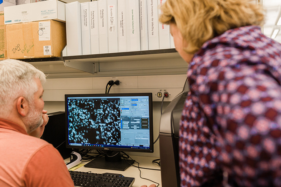 Researchers from the UNMC division of nephrology at work in their lab.