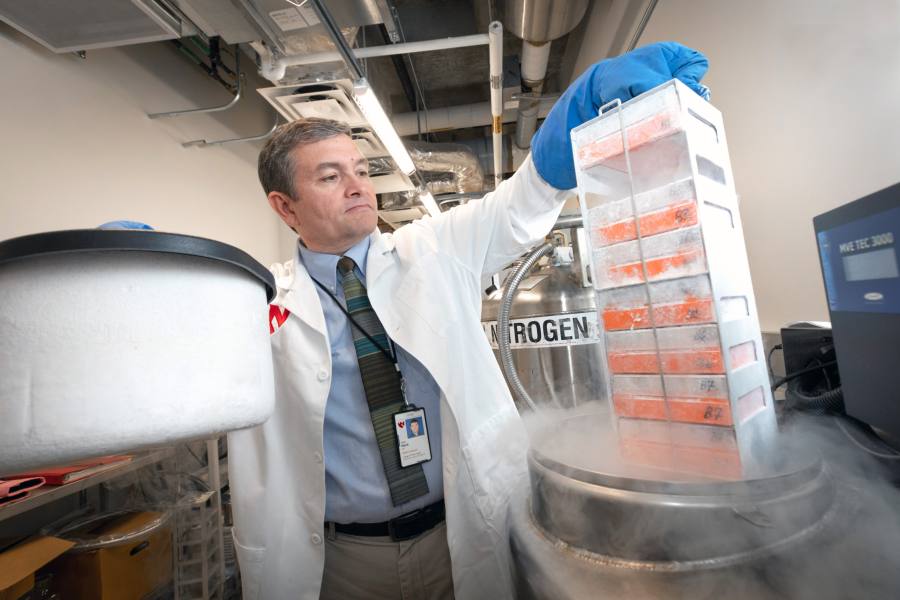 Dr. Todd Wyatt working in his laboratory.