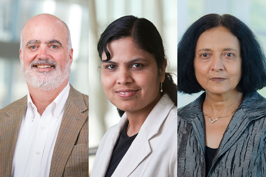 A collage of the professional headshots of Ted Mikuls, Saras Viswanathan and Ruxana Sadikot