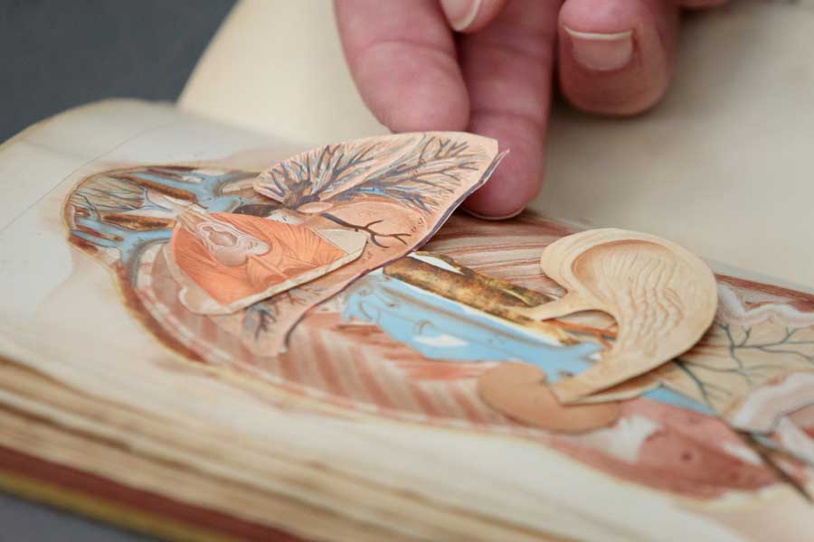 Hand lifting flap on rare book.
