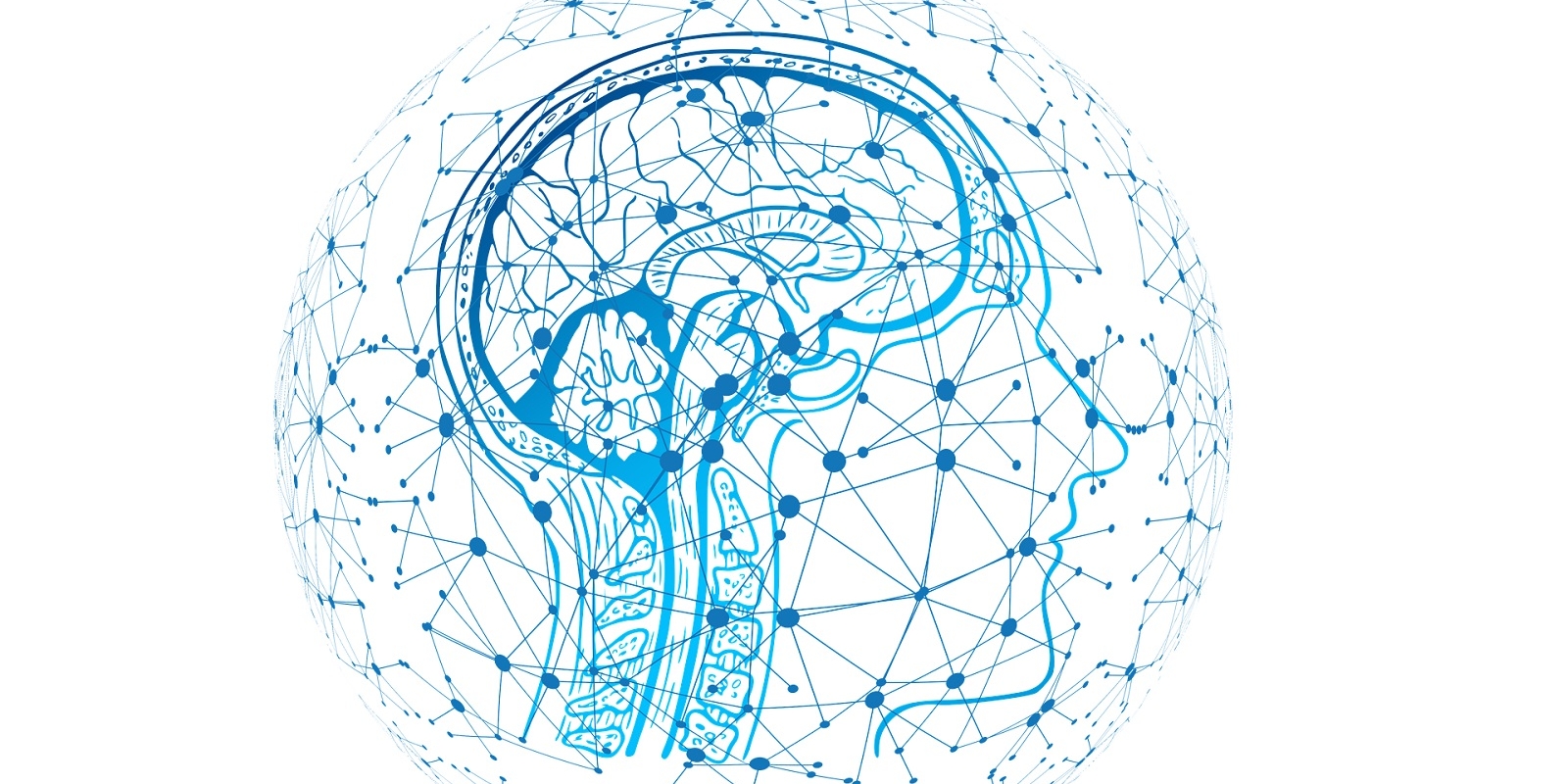 brain-research