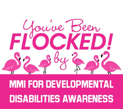 You've Been Flocked yard sign.