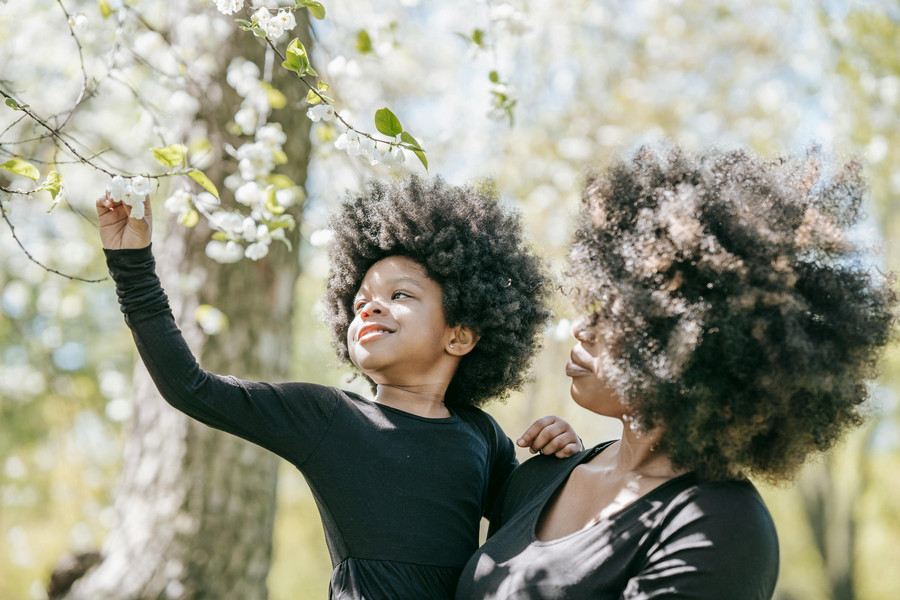 Parents lifts up child so that they can reach the blossoms on a tree branch.