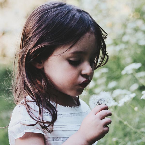 A young girl holding a white flower in a field