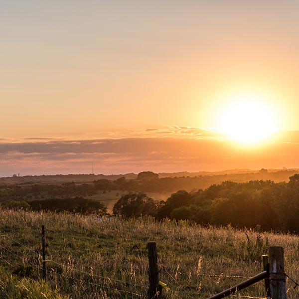 A sunrise over a foggy farm field