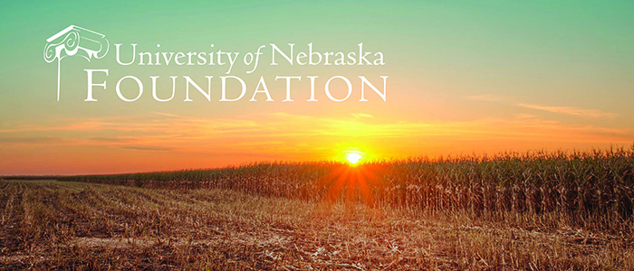 Nebraska landscape; wheatfield and sunset