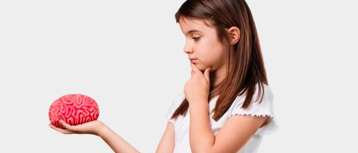 Adolescent aged girl with brown hair, one hand on her chin pondering, one outstretched hand holding a plastic replica of a brain.