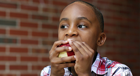 stock photo of adolescent child wearing a plaid shirt, eating an apple; credit: iStock