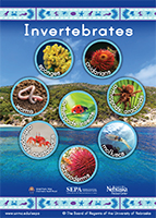 SEPA Invertebrates Poster