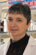 Larisa Poluektova, MD, PhD