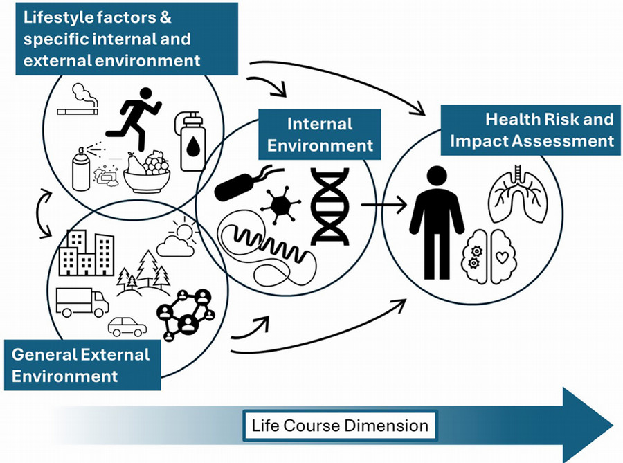 Exposome image From AI in Neurology Part 2, Rizzo