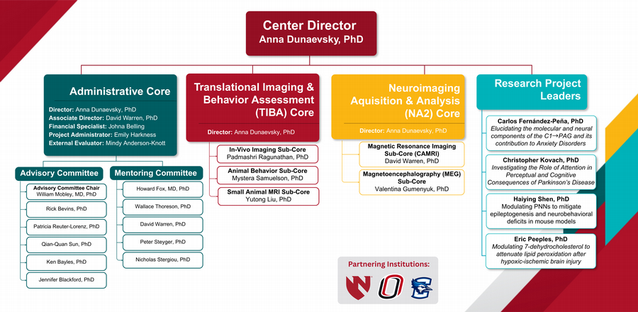 CoNDA Center Organization Chart