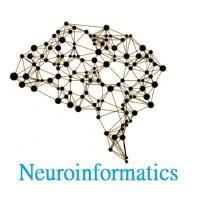Neuroinformatics and Network Science Initiative