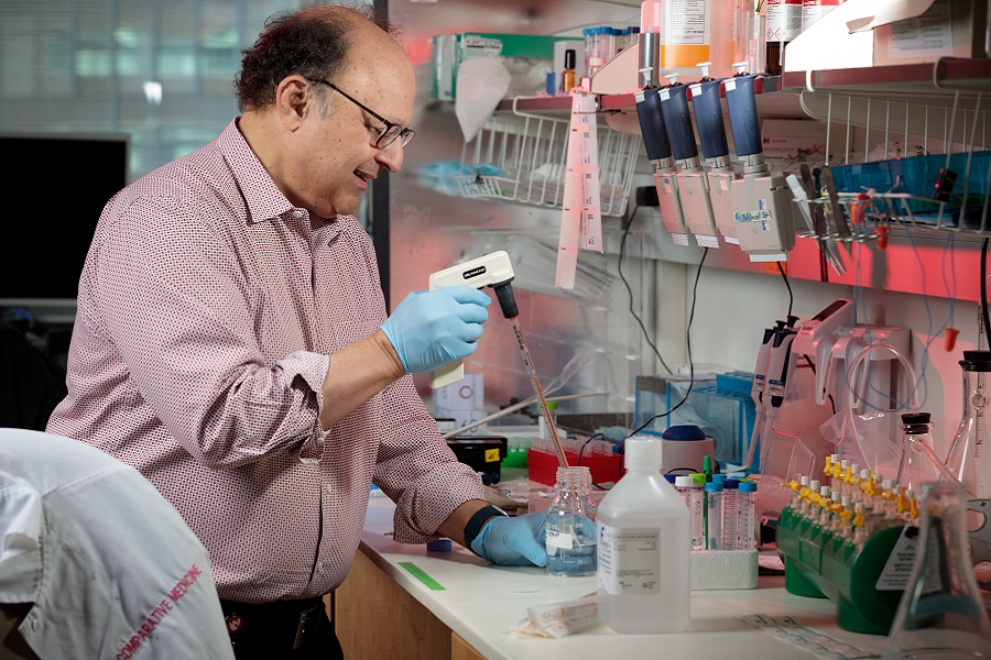 Dr. Fox in laboratory at Durham Research Center.